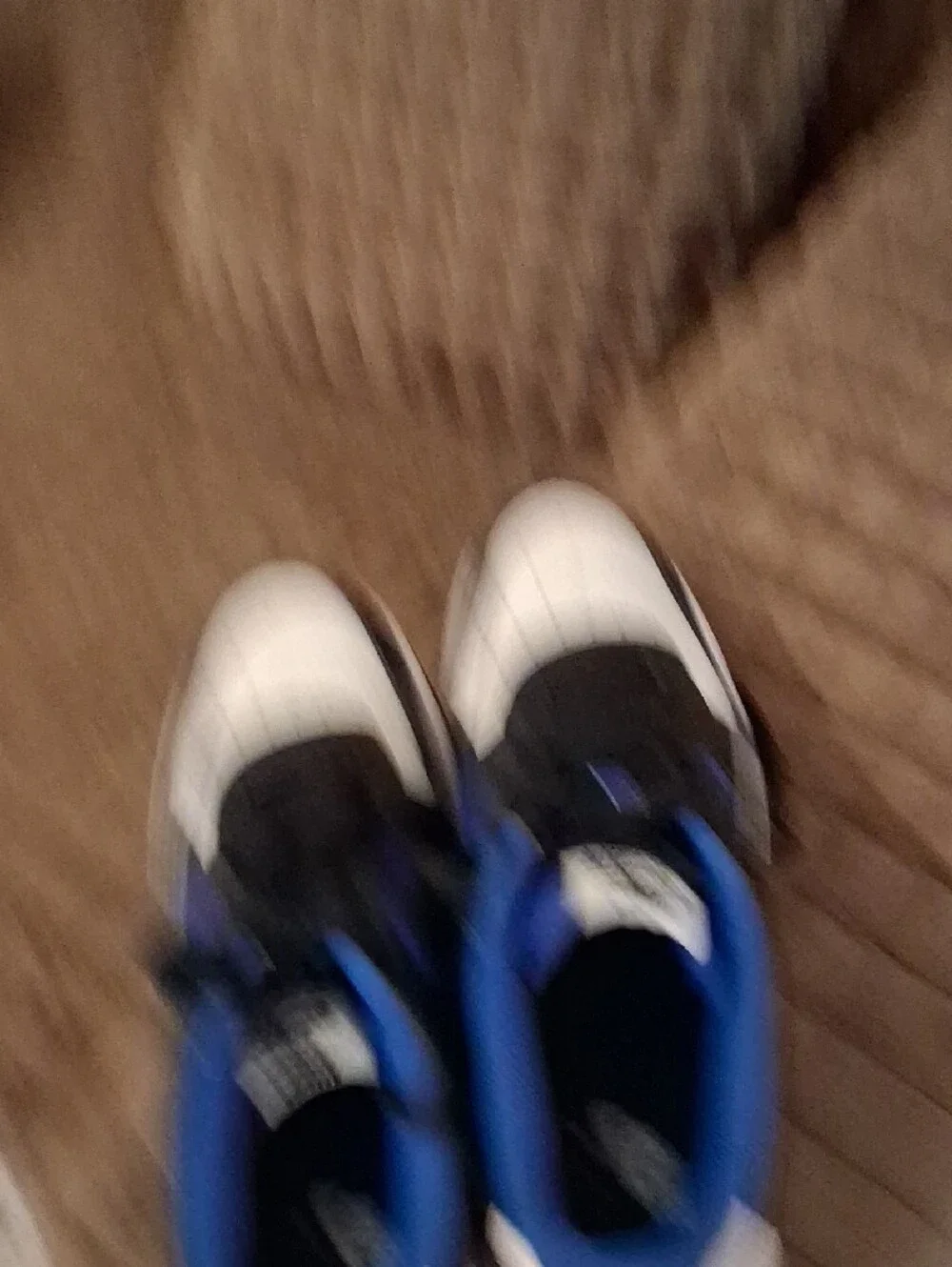 Nike Low Top Sneakers - White/Black/Royal Blue